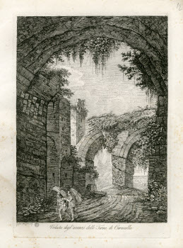 Visualizza l'immagine "Vol. Z 12, tav. 12"